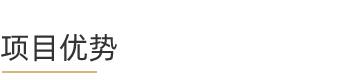 t-项目优势.png