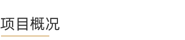 t-项目概况.png